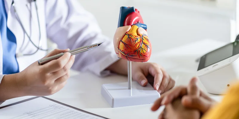 Stroke and Heart Attack Stroke and Heart Attack